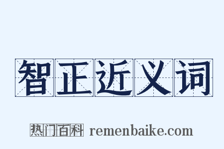智正近义词是什么意思的图片